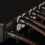 AudioQuest PowerQuest 909 12-Outlet Power Conditioner & Non-Sacrificial Surge Protector