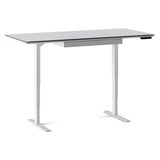 BDI Centro 6452-2 Height Adjustable Standing Desk (66"x30")