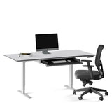 BDI Centro 6452-2 Height Adjustable Standing Desk (66"x30")