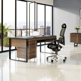 BDI Corridor 6521 Desk (Walnut)