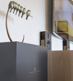 Steinway Lyngdorf LSR-210 Boundary Woofer (Matte Black)