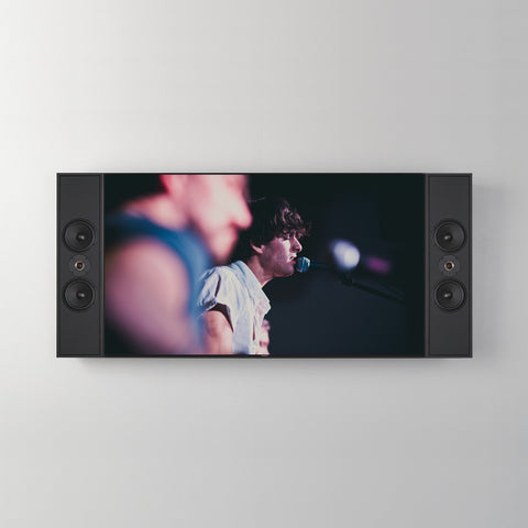 Leon PrSEVEN Profile Series Stereo Pair for TV or Stereo Applications Sidemount Speakers (Pair)