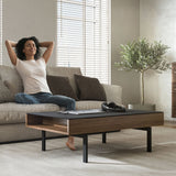 BDI Reveal 1192 Lift Top Coffee Table (Natural Walnut)