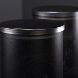 Leon TrLs50-INGROUND Terra LuminSound Outdoor Speakers with Integrated Lighting (Each)