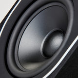 PMC Audio Prophecy5 2-Way Floorstanding Speaker (Pair)