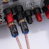 Auster V Series Speaker Cable 100ft