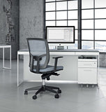 BDI Centro 6401 Desk with Centro 6407 Mobile File Cabinet