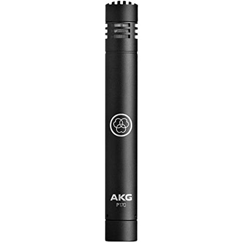 AKG Pro Audio P170 Professional Instrumental Microphone