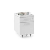 BDI Centro 6452-2 Adjustable Desk and Centro 6407 Mobile File Cabinet Bundle (Satin White/Gray Glass)