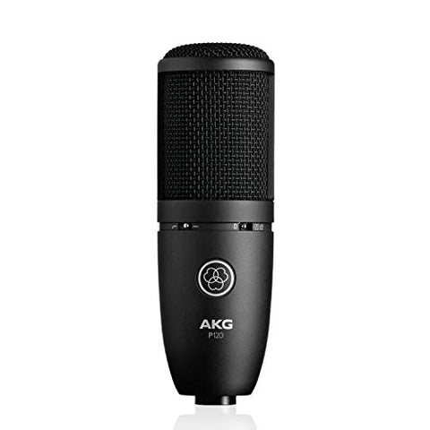 AKG Pro Audio P120 High-Performance General Purpose Recording Microphone