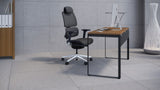 BDI Linea 6223 Large Modern Home Office Work Desk