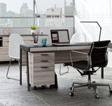 BDI Sigma 6901 Modern Home Office Desk With File Cabinet