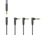Sennheiser IE800S In Ear Headphones